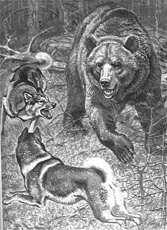 VK_Saved_Photo_ 636212861448411985.jpg