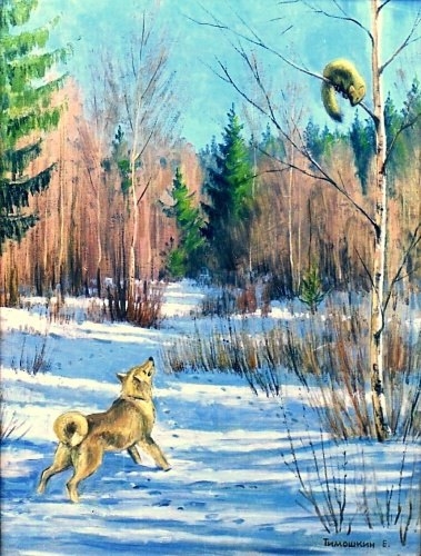 VK_Saved_Photo_ 636212861134210202.jpg