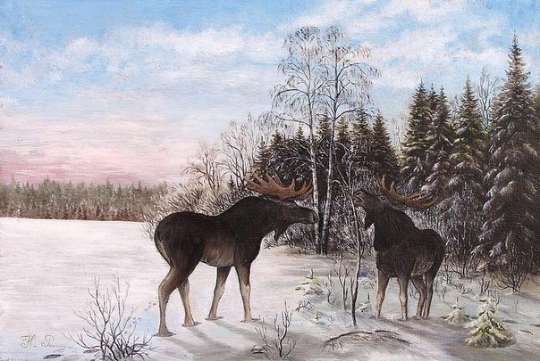 VK_Saved_Photo_ 636212655680017231.jpg