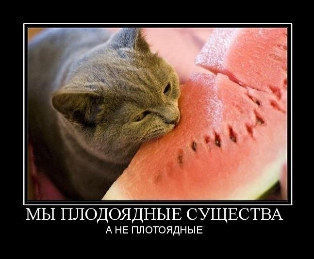 VK_Saved_Photo_ 636212710706048921.jpg