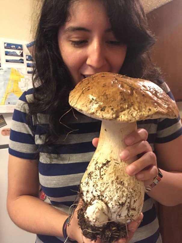 VK_Saved_Photo_ 636212665794827266.jpg