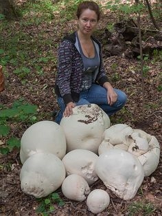 VK_Saved_Photo_ 636212665832774084.jpg