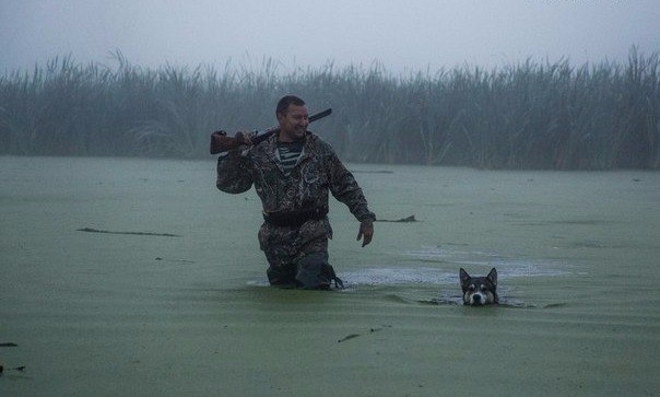 VK_Saved_Photo_ 636212673141396880.jpg