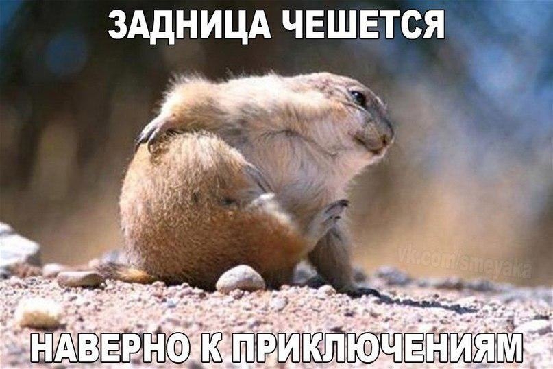 VK_Saved_Photo_ 636217244026643419.jpg