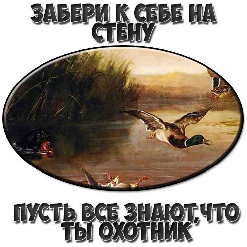 VK_Saved_Photo_ 636217250288213521.jpg