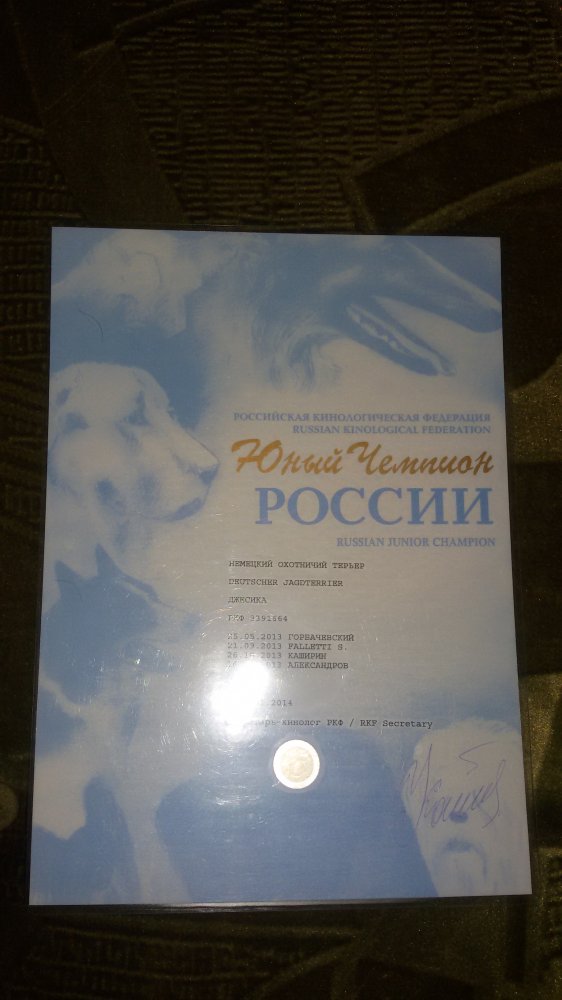 20150517_201832.jpg