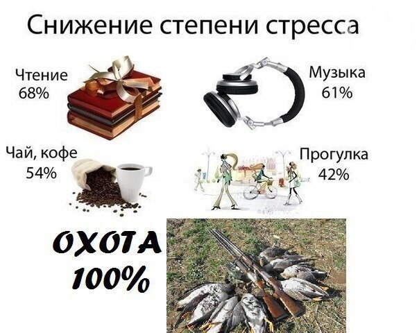 VK_Saved_Photo_ 636219140778107081.jpg