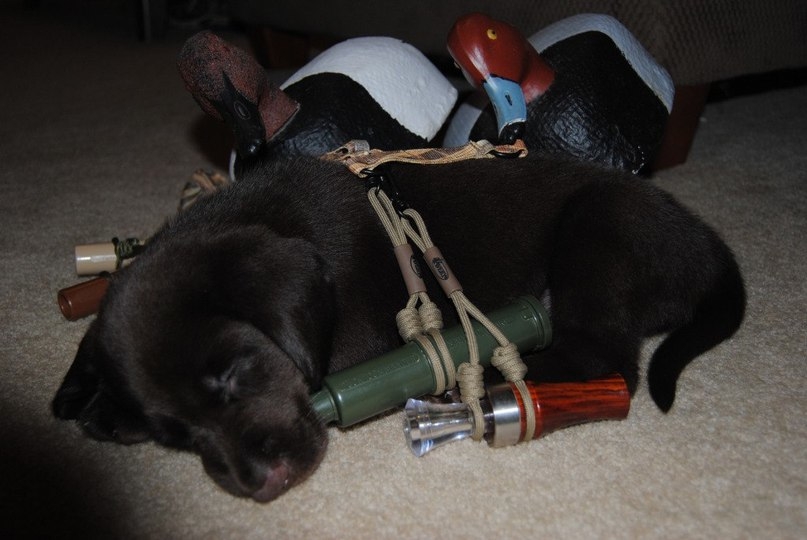 VK_Saved_Photo_ 636222327634303963.jpg