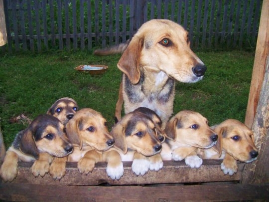 VK_Saved_Photo_ 636222332005156261.jpg