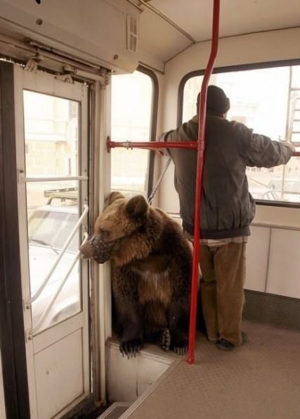 C__Data_Users_DefApps_AppData_INTERNETEXPLORER_Temp_Saved Images_image.jpg