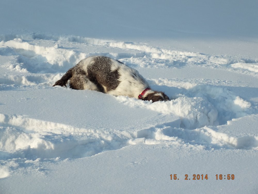 DSCF0915.JPG