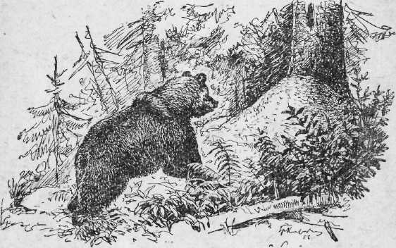 55539-i_001.jpg
