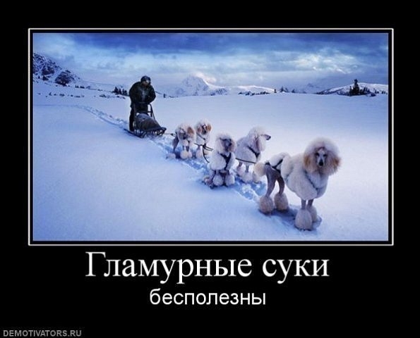 VK_Saved_Photo_ 636223261537723506.jpg