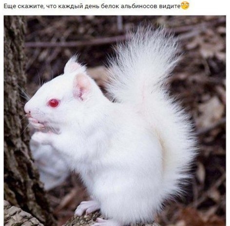 VK_Saved_Photo_ 636225701221495140.jpg