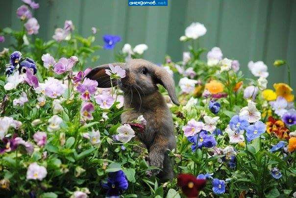 Эх, скорй бы полночь и косить....косить....jpg