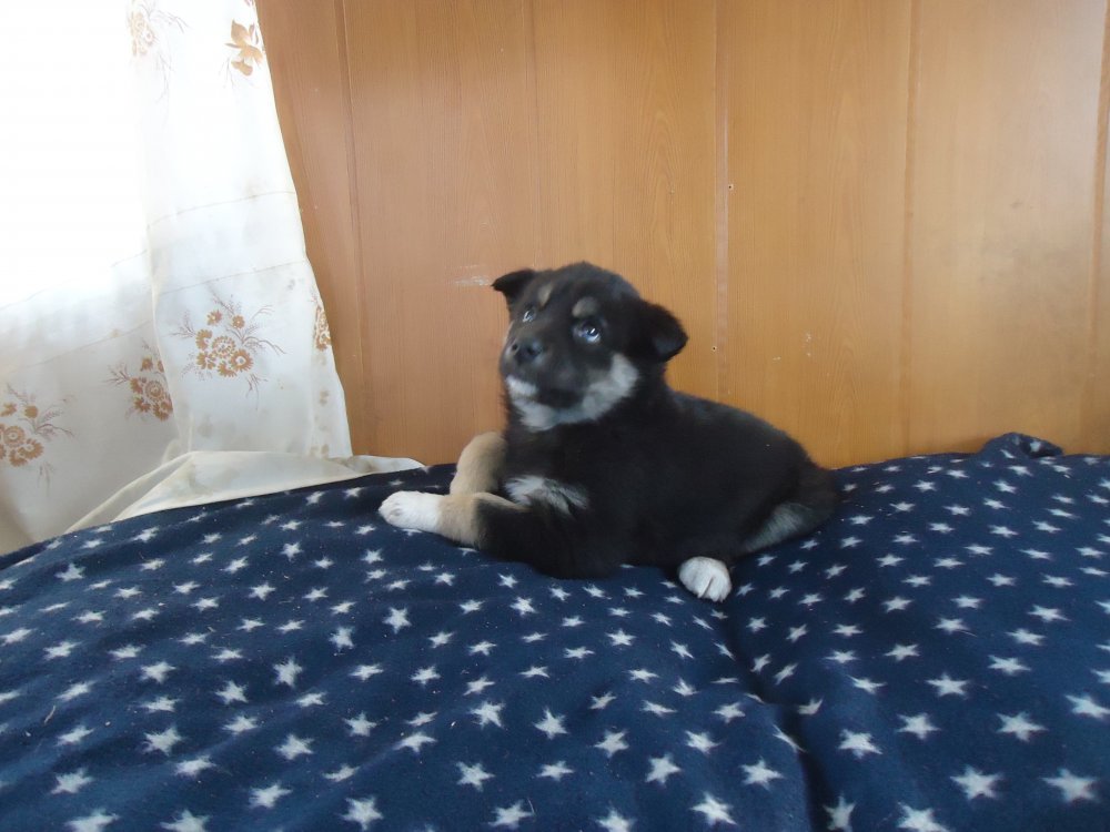DSC04426.JPG