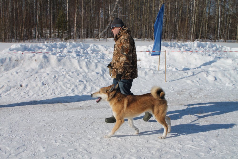 Выставка в молчанво.jpg