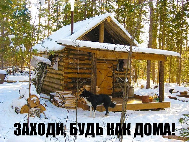 VK_Saved_Photo_ 636226649841729676.jpg