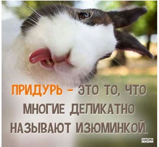 дурь.jpg