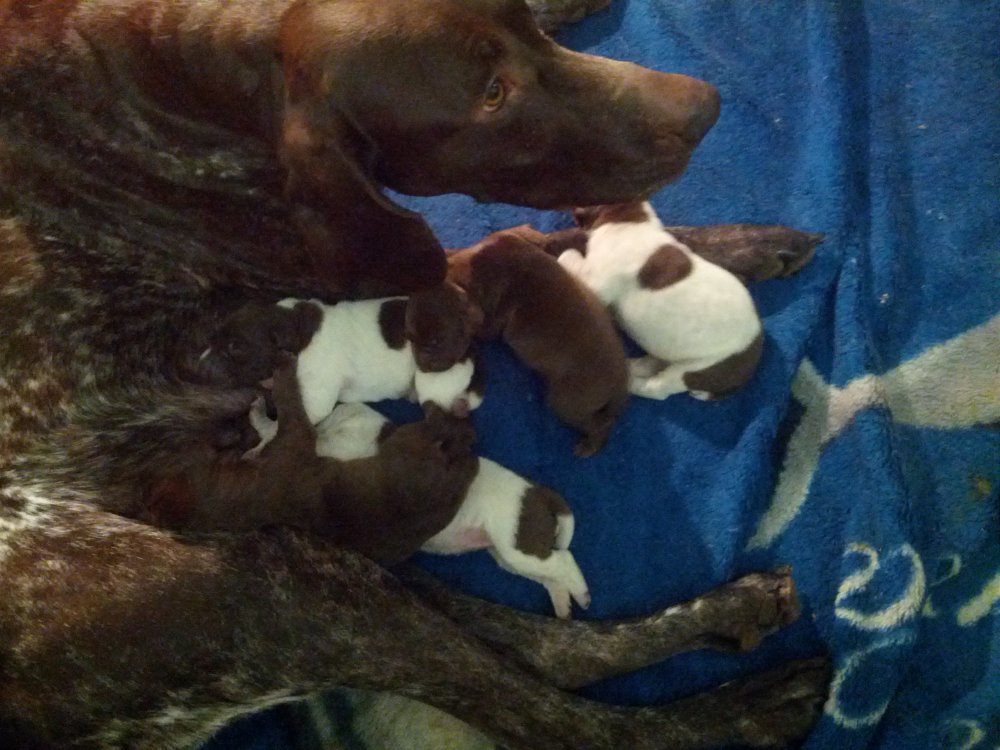 Юта сощенками.jpg