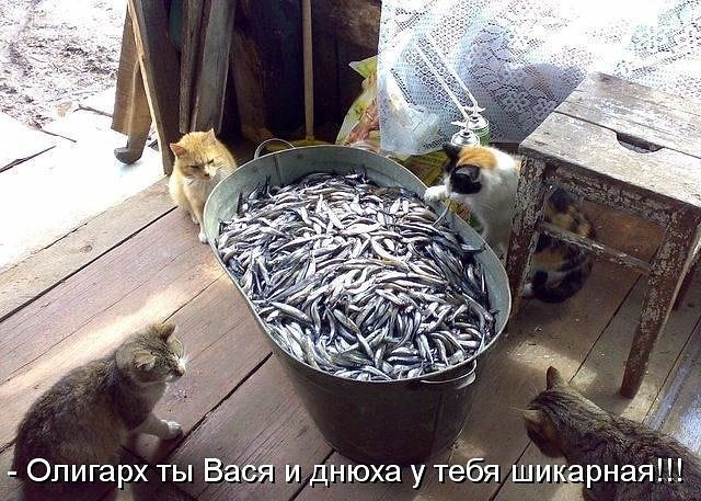 C__Data_Users_DefApps_AppData_INTERNETEXPLORER_Temp_Saved Images_imageV4O1HF23.jpg