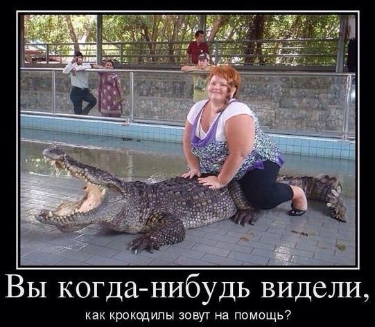 VK_Saved_Photo_ 636231946093764334.jpg