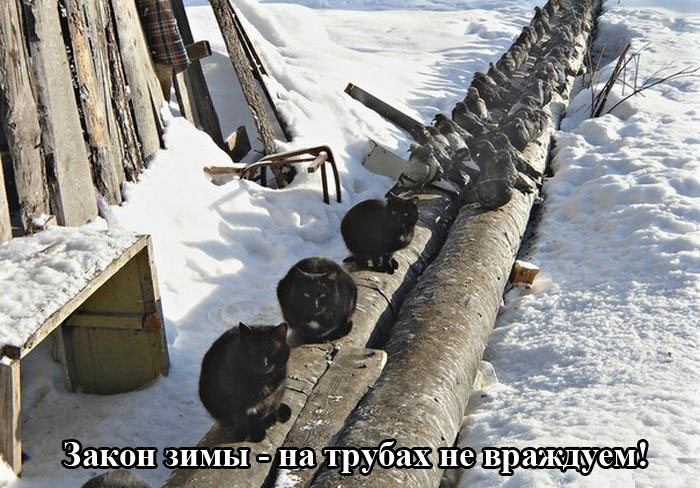 мир.jpg