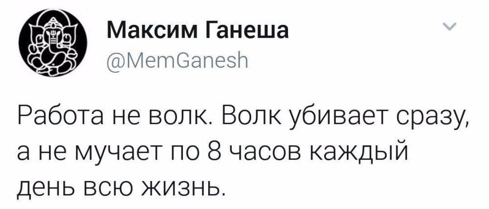 работа.jpg
