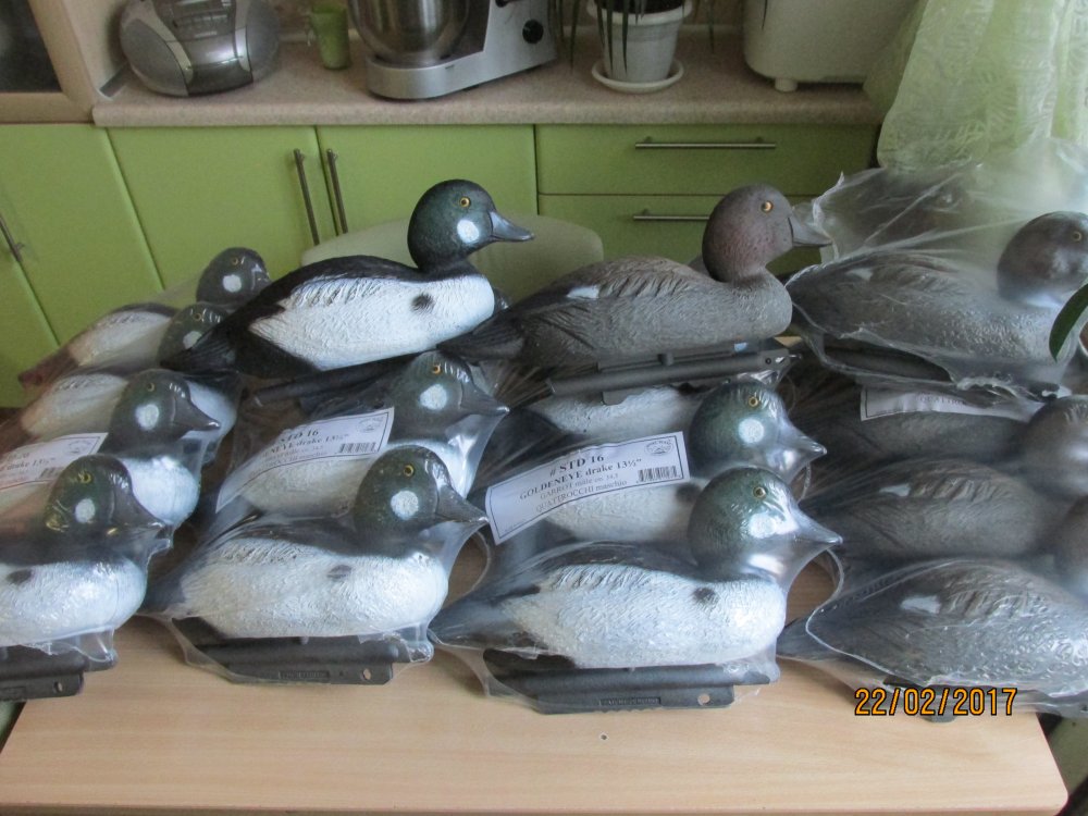 гогля спортпласт 001.jpg