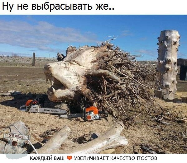 VK_Saved_Photo_ 636233701115702769.jpg