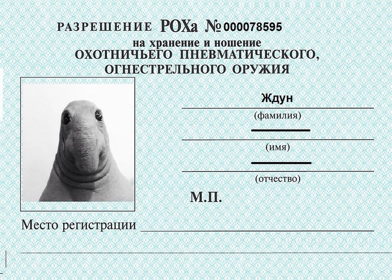 VK_Saved_Photo_ 636238976682487514.jpg