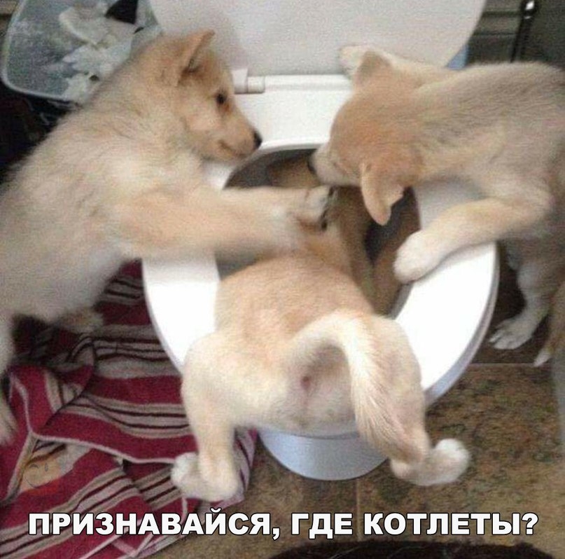 VK_Saved_Photo_ 636238974635320060.jpg