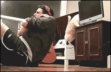 спорт.gif