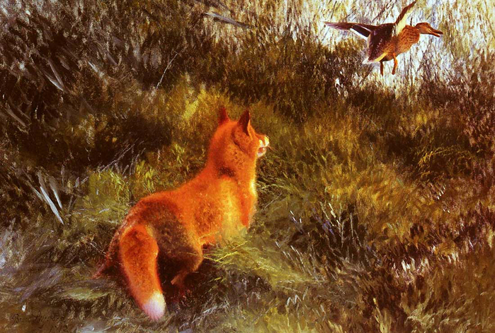 114677954_Eluding_The_Fox.jpg