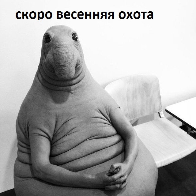 zhdun.jpg