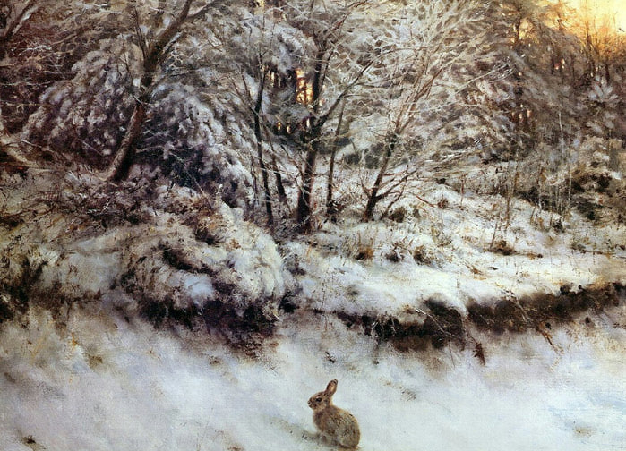 зая.jpg