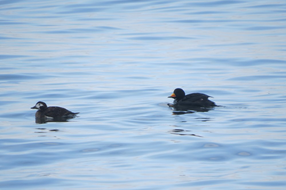 6 март 17г 134.jpg