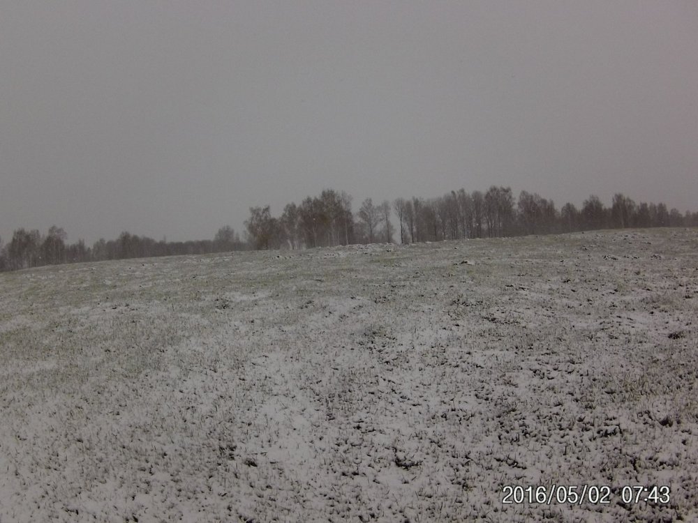 7e8FF_Hdr08.jpg