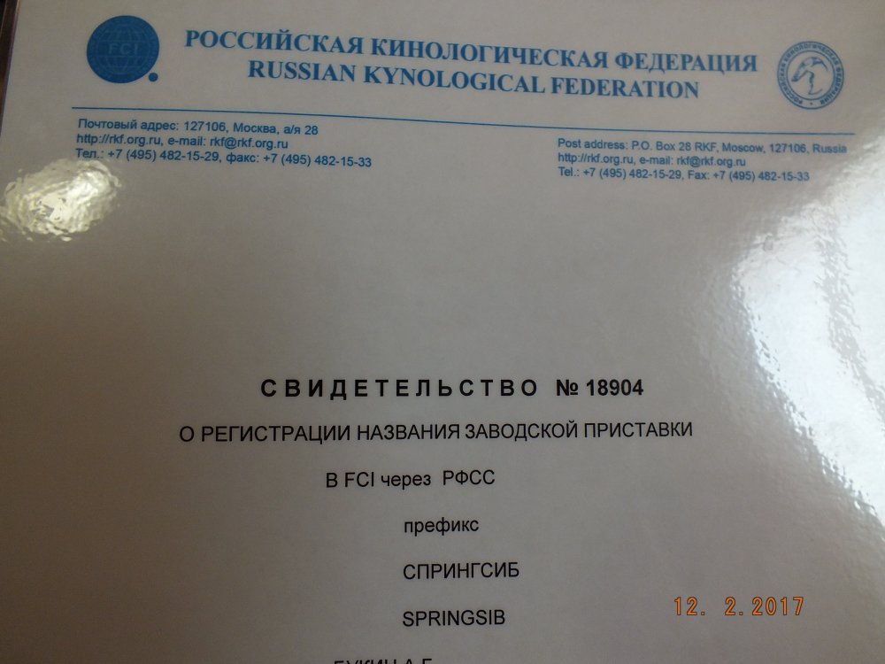 DSCF8412.JPG