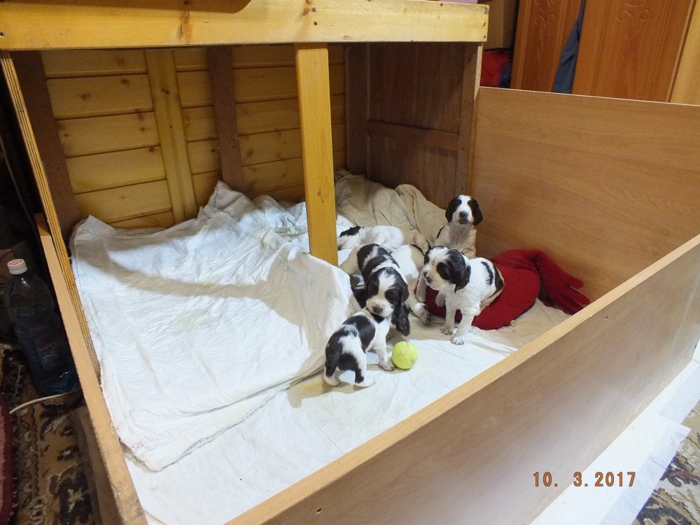 DSCF8481.JPG