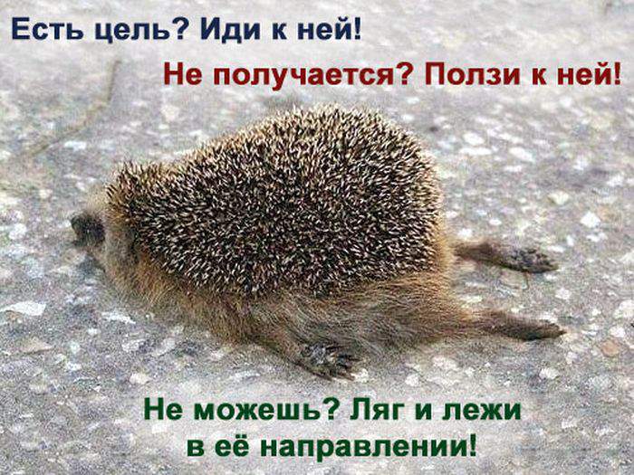 коротко о 5ти летнем стаже.jpg