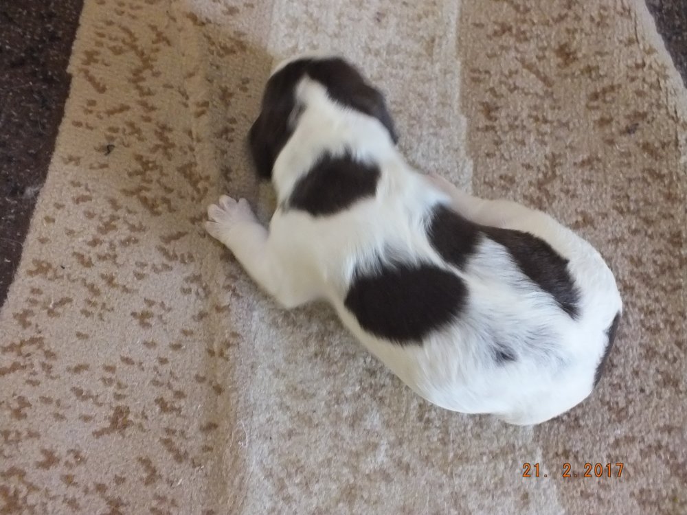 DSCF8450.JPG
