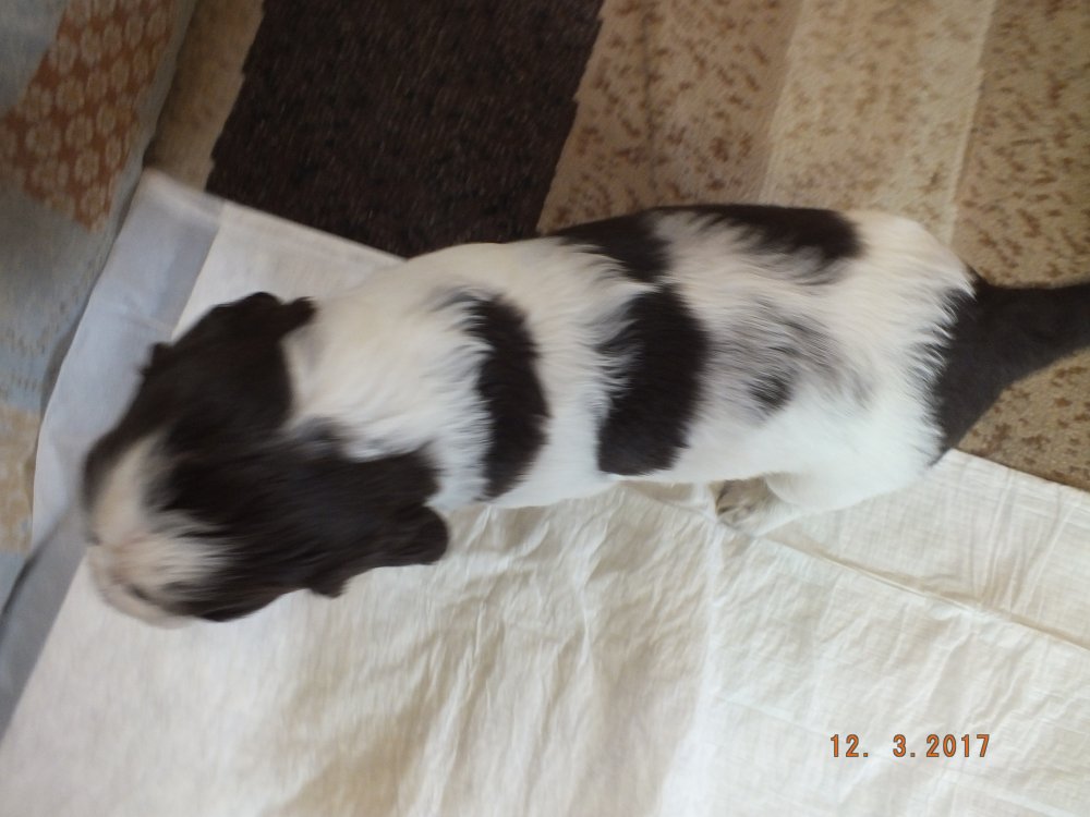 DSCF8538.JPG