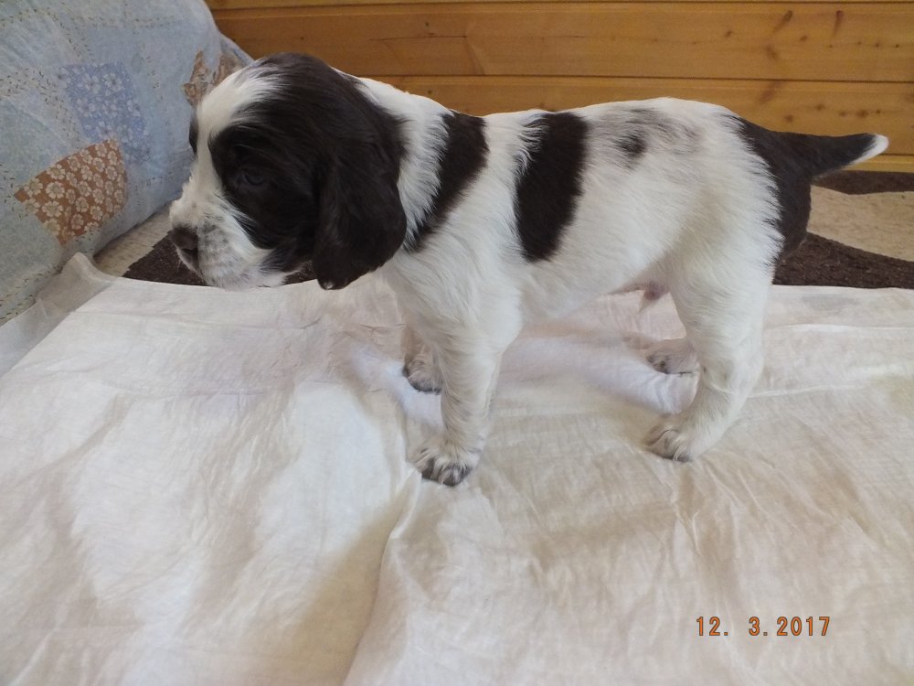 DSCF8539.JPG