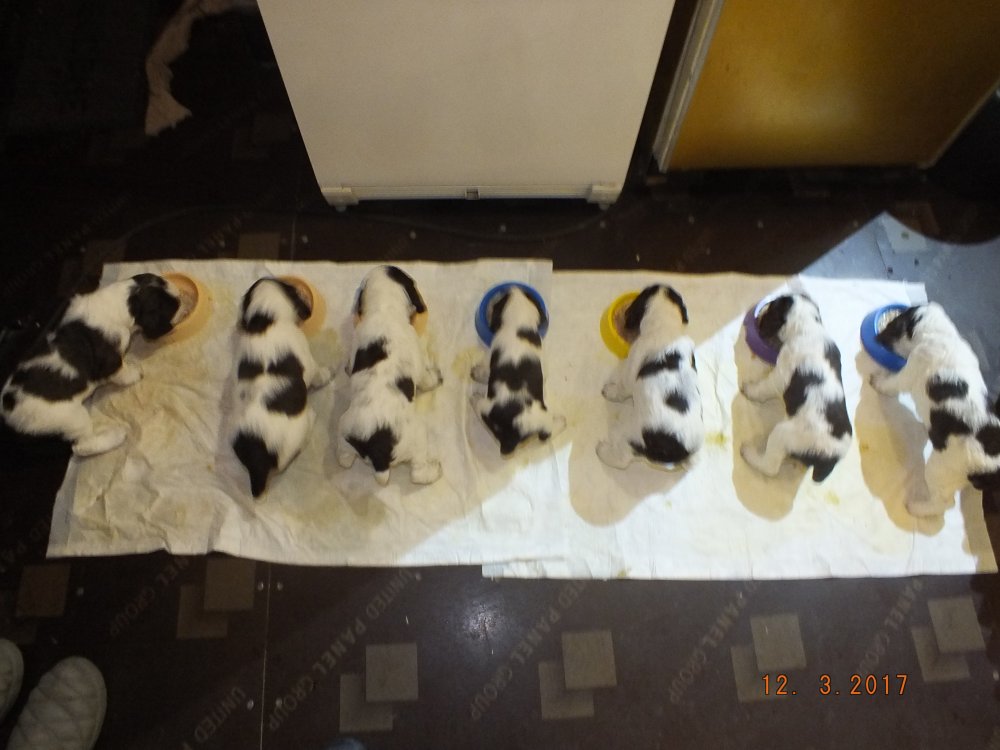 DSCF8563.JPG