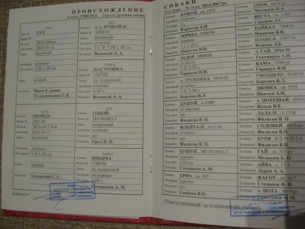 Сметка родуха..jpg