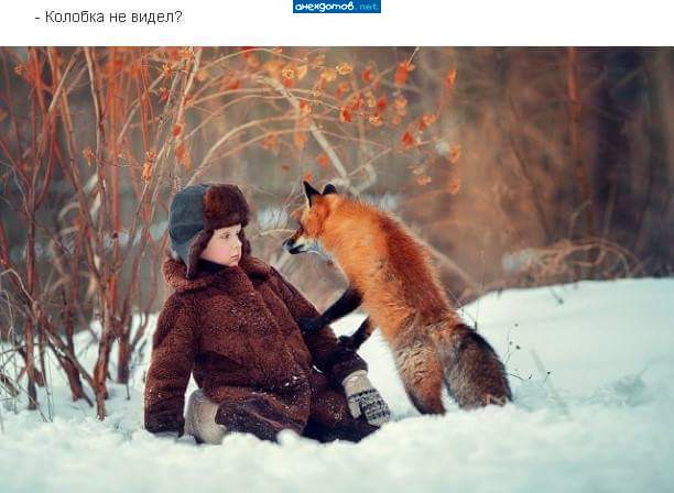 Филиппок я, не Колобок, ты че! В школу иду!.jpg