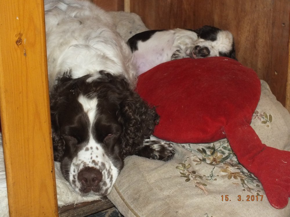 DSCF8593.JPG