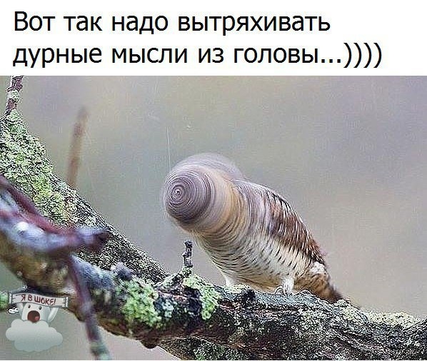 VK_Saved_Photo_ 636251045609390132.jpg