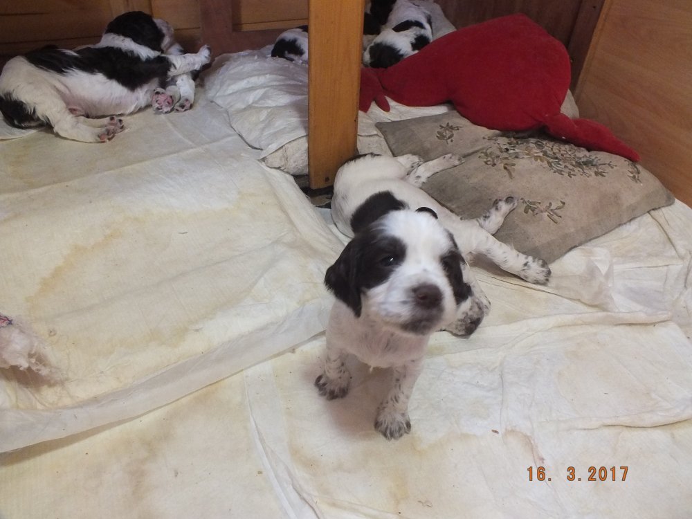 DSCF8596.JPG